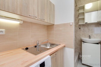 Pronájem bytu 1+1, 32 m² + terasa 15 m² + sklep 6 m², Praha - 2
