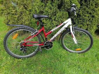 Jízdní kolo DEMA PEGAS 24" - 2