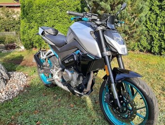 CFMOTO 300NK - 2