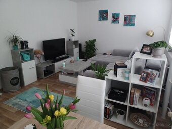 Pronájem zrekonstruovaného bytu 3+1 (76 m²) s balkonem - 2
