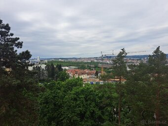 Cihlový byt na Lesné bez RK - 2
