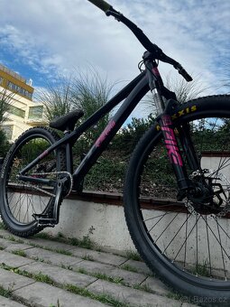 CTM DIRTKING 2020 - 2