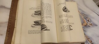 Velká ilustrovaná kuchařka (Milada Slavínová) - 2