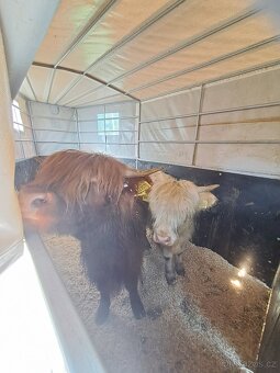 Certifikovaná přeprava hospodářských zvířat a koní - 2