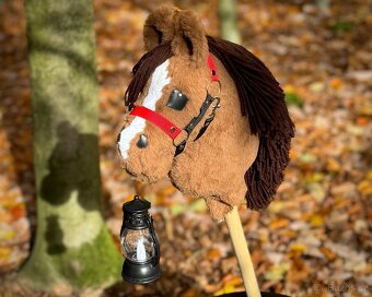 Hobby horse- rezervace - 2