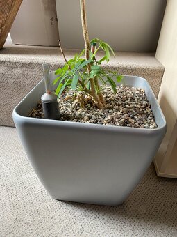 Květináč šedý velký průměr 35 cm - 2