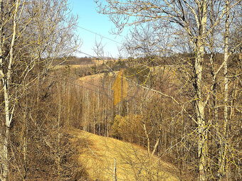 Prodej pozemku v rekreační oblasti Hrnčířský vrch nad městem - 2