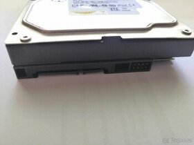 HDD WD 160GB 3,5" - 2