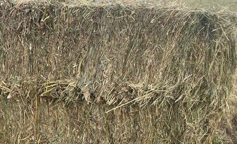 Velké hranaté - luční seno - 2