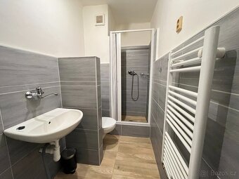 Pronájem bytu 1+1, 38m2, ul. Polanova, Opava. - 2