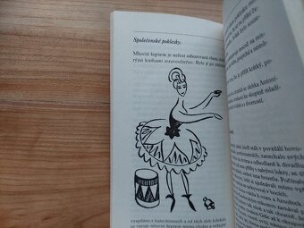 Vladislav Vančura - Rozmarné léto, ilustrace Josef Čapek - 2