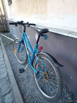 Kolo dámské Admiral - 2