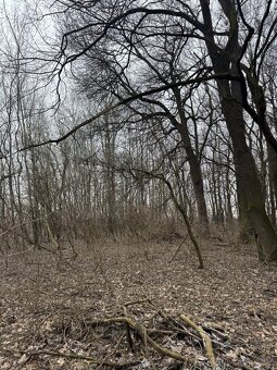 Prodej pozemků k.ú. Milokošť - 2