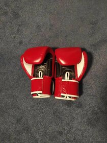 Fairtex boxerské rukavice 12oz - 2