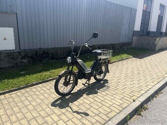 babeta 210 - 2