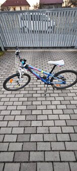 Autor Superior 24" kolo - 2