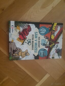Sám v muzeu - 2