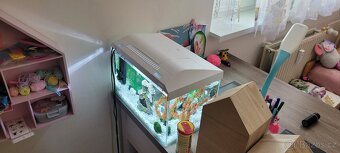 Akvarium - 2