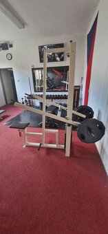 Posilovací stroj na triceps - 2