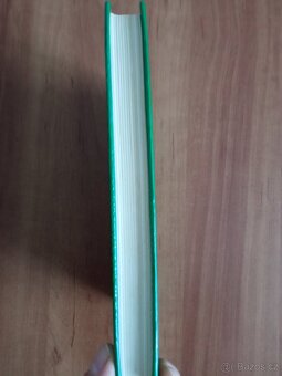 Dva divoši - 2