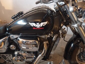 Suzuki VZ 800 Marauder - 2