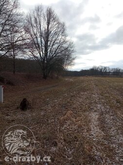 Pozemky o výměře 4609 m2, k.ú. a obci Janovice nad Úhlavou, - 2
