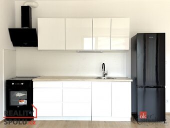 Pronájem, byty/1+kk, 47 m2, Železná, Jižní Předměstí, Plzeň - 2