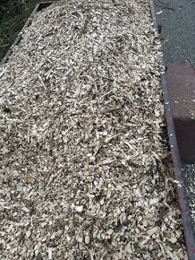 Dřevní stepka-listnaté stromy - 2