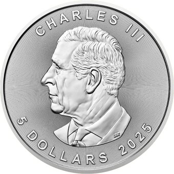 Stříbrná investiční mince Maple Leaf 1 Oz - nové - 2