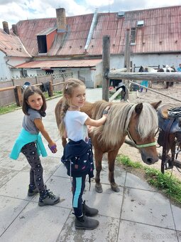 Tábor pro opravdové koňáky - 2