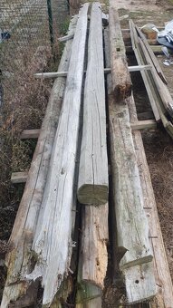 120 LET STARÉ TRÁMY - 2