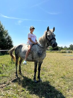 Pony klisna kat. A - 2