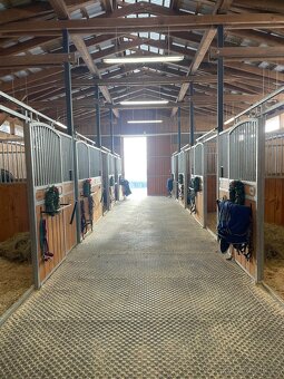 Ustájení Rožmitál pod Třemšínem (Příbram) - 2