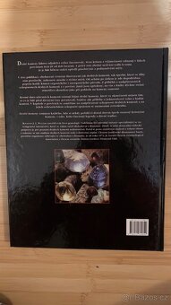 Velká Kniha Drahé kameny - Raymond J.L. Walters - 2
