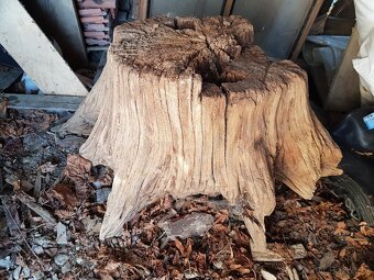 Pařez s kořeny na další výrobu epoxidového nábytku - 2