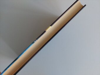 Michael Palmer - Druhý názor, lékařský thriller, napínavé - 2