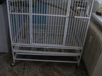 voriera pro papouska velka - 2