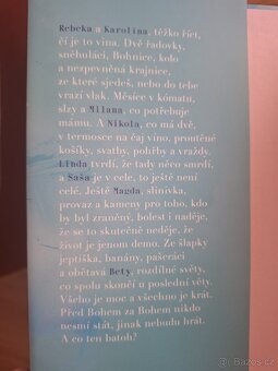 Kniha od Radky Třeštíkové Bábovky na konci  světa - 2