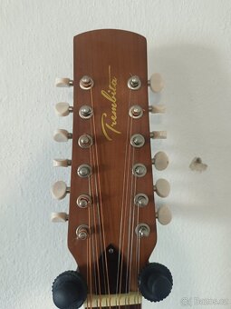 Elektroakustická kytara Trembita - 2