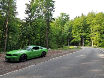 Ford mustang 5.0 gt man. - 2