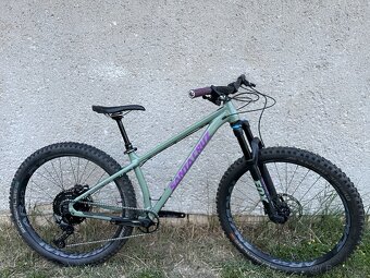 Santa Cruz Chameleon S - 2