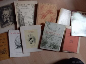 Knihy Max Švabinksý - 2