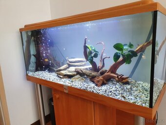 akvárium 240l, filtr+skříňka+osvětlení - 2