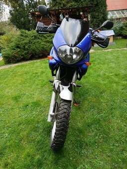 Suzuki XF 650 Freewind 35 kW - 2