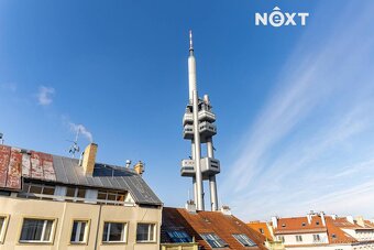 Prodej komerční Obchodní prostory, 16㎡ - 2