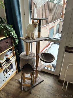 Škrabadlo pro kočky - 2