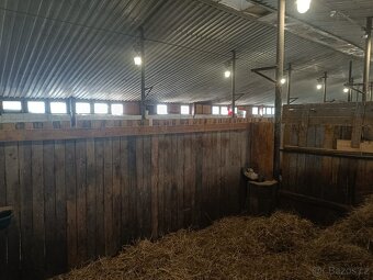 Možnost ustájení - 2