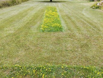 Pronajmu zahradu . - 2