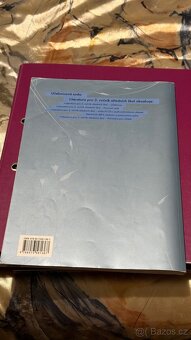 Literatura pro 3. ročník středních škol - pracovní sešit - 2
