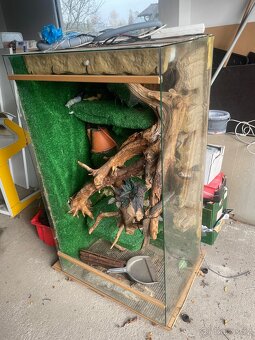 Vybavené terárium - 2